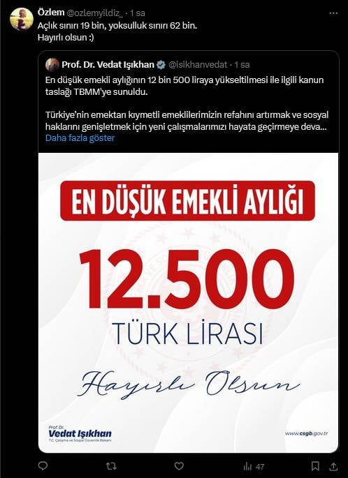 Bakanın Dalga Geçer Gibi Emekli Maaşı Paylaşımı İsyan Ettirdi 6